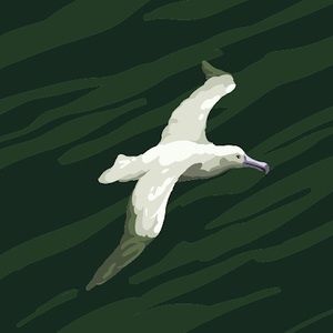 Meet your Posher, Ravinder